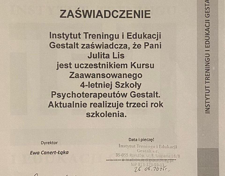Julita Lis -certyfikat 3
